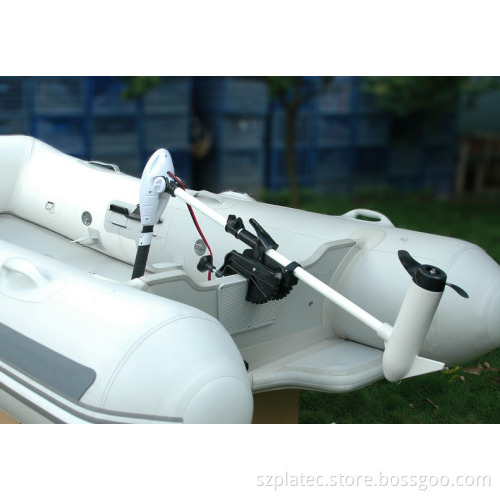 Electric Trolling Motor